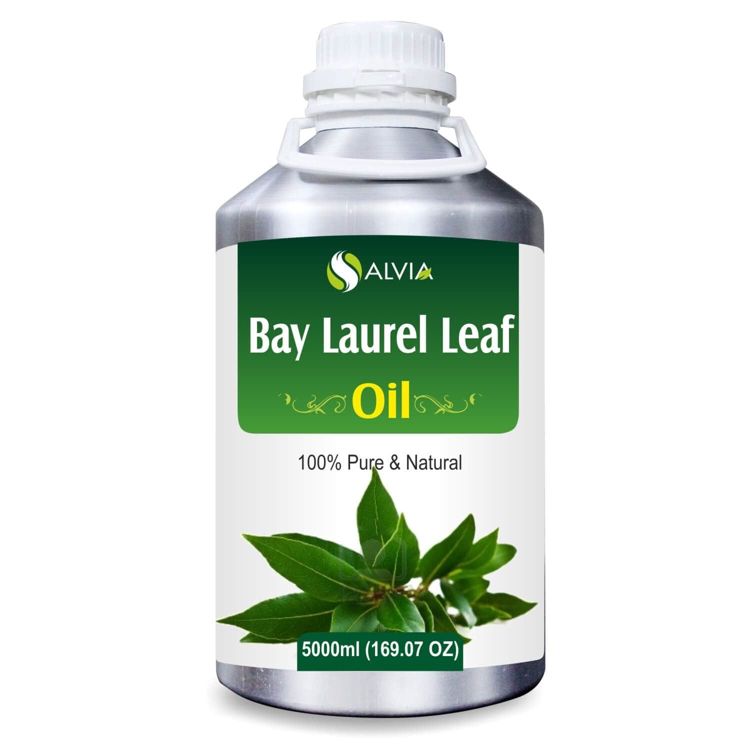 Salvia Natural Essential Oils 5000ml Bay Laurel Leaf Oil (Laurus nobilis) 100% Natural Pure Undiluted Uncut Essential Oil Offers Pain Relief, Helps To Heal Wounds, Promotes Hair Growth Salvia Natural Essential Oils 5000ml Bay Laurel Leaf Oil (Laurus nobilis) 100% Natural Pure Undiluted Uncut Essential Oil Offers Pain Relief, Helps To Heal Wounds, Promotes Hair Growth